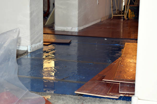 Professional Water Damage Restoration technician working in Thiells, NY